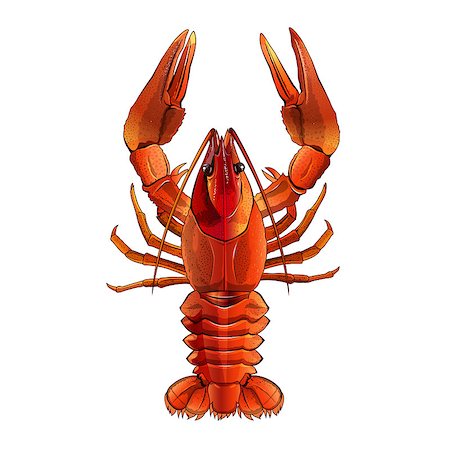 simsearch:400-08754703,k - Seafood, isolated raster illustration on white background Stockbilder - Microstock & Abonnement, Bildnummer: 400-08736685