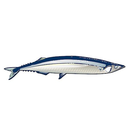 simsearch:400-08616184,k - Seafood, isolated raster illustration on white background Foto de stock - Royalty-Free Super Valor e Assinatura, Número: 400-08736688