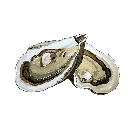 simsearch:400-08754703,k - Seafood, isolated raster illustration on white background Stockbilder - Microstock & Abonnement, Bildnummer: 400-08736683