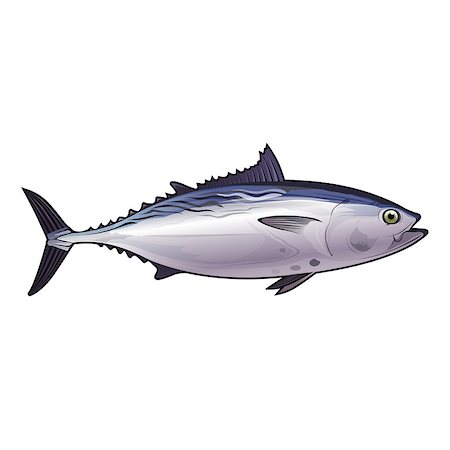 simsearch:400-08736716,k - Seafood, isolated raster illustration on white background Stockbilder - Microstock & Abonnement, Bildnummer: 400-08736704