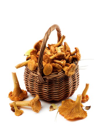 simsearch:400-08011809,k - Arrangement of Fresh Raw Chanterelles with Dry Leafs and Stems in Wicker Basket closeup on White background Photographie de stock - Aubaine LD & Abonnement, Code: 400-08736723