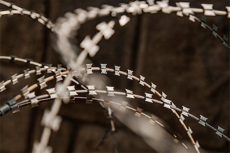 simsearch:400-04780024,k - Close-up of a rusty metal razor fence wire outdoors. Photographie de stock - Aubaine LD & Abonnement, Code: 400-08737330