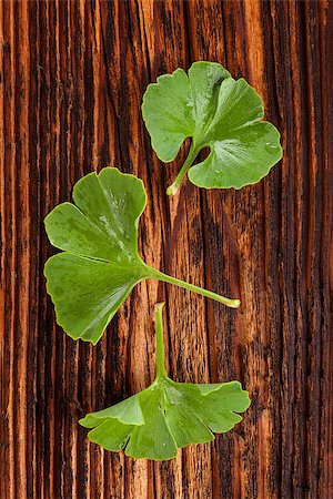 Ginkgo biloba on old wooden background, top view. Alternative medicine. Stock Photo - Budget Royalty-Free & Subscription, Code: 400-08737357