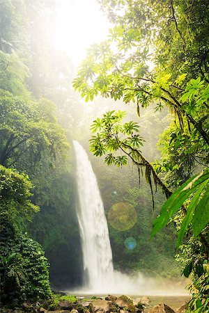 simsearch:879-09100530,k - A waterfall plumits into a deep gorge of a tropical rainforest and flows downstram with lush green vegetation surrounding. Photographie de stock - Aubaine LD & Abonnement, Code: 400-08730099