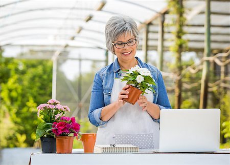 flower sale - Beautiful mature woman working in a greenhouse holding flowers on her hands Stock Photo - Budget Royalty-Free & Subscription, Code: 400-08732100