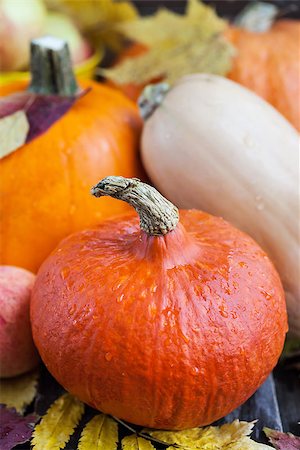 simsearch:400-03938737,k - Decorative autumn halloween pumpkins Photographie de stock - Aubaine LD & Abonnement, Code: 400-08732576