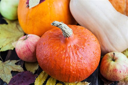 simsearch:400-03938737,k - Decorative autumn halloween pumpkins Photographie de stock - Aubaine LD & Abonnement, Code: 400-08732577