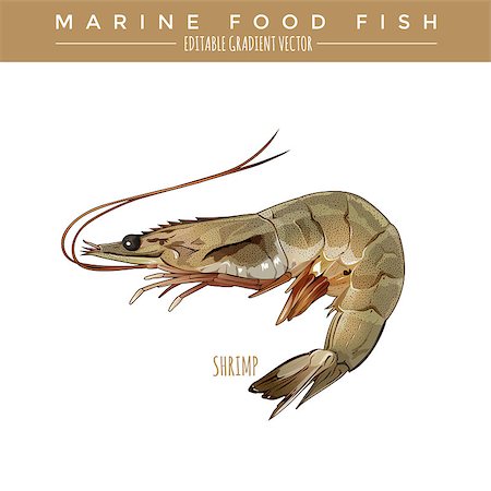 simsearch:400-08616184,k - Shrimp illustration. Marine food fish, editable gradient vector Foto de stock - Royalty-Free Super Valor e Assinatura, Número: 400-08733734