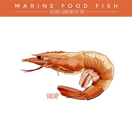 simsearch:400-08616184,k - Cooked Shrimp illustration. Marine food fish, editable gradient vector Foto de stock - Royalty-Free Super Valor e Assinatura, Número: 400-08733735