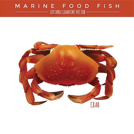 simsearch:400-08754703,k - Crab illustration. Marine food fish, editable gradient vector Stockbilder - Microstock & Abonnement, Bildnummer: 400-08733737