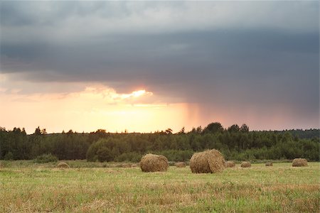 simsearch:400-06201047,k - Field with rolls of straw on a summer day after harvest Stock Photo - Budget Royalty-Free & Subscription, Code: 400-08749143