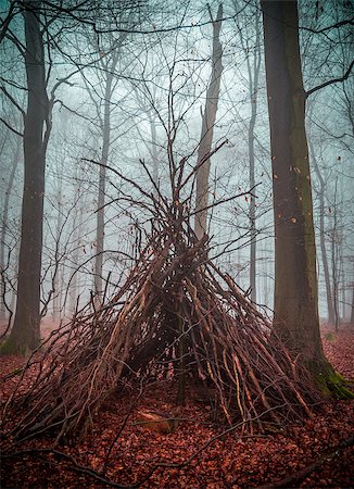 Witch house in the forest with fog. Stock Photo - Budget Royalty-Free & Subscription, Code: 400-08754070