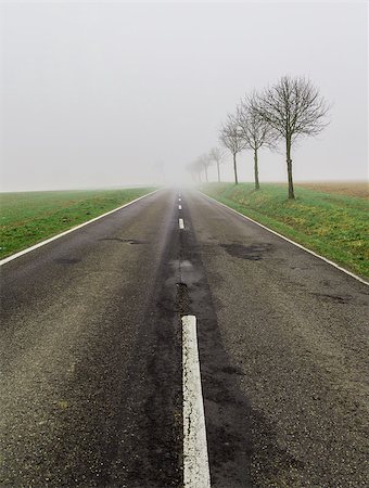 Road in fog leads to nothing. Stock Photo - Budget Royalty-Free & Subscription, Code: 400-08754084