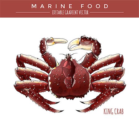 simsearch:400-08616184,k - King Crab illustration. Marine food, editable gradient vector Foto de stock - Royalty-Free Super Valor e Assinatura, Número: 400-08754686