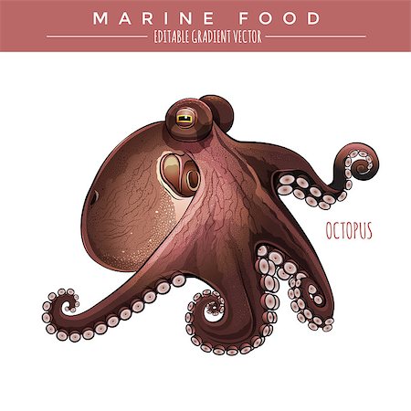 simsearch:400-08736716,k - Octopus illustration. Marine food, editable gradient vector Stockbilder - Microstock & Abonnement, Bildnummer: 400-08754687