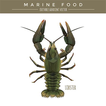 simsearch:400-08616184,k - Lobster illustration. Marine food, editable gradient vector Foto de stock - Royalty-Free Super Valor e Assinatura, Número: 400-08754689
