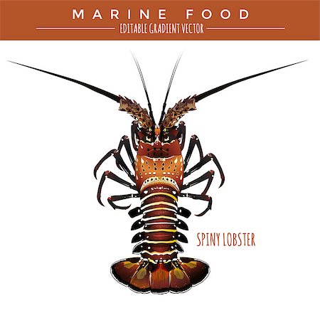 simsearch:400-08754703,k - Spiny lobster illustration. Marine food, editable gradient vector Stockbilder - Microstock & Abonnement, Bildnummer: 400-08754695