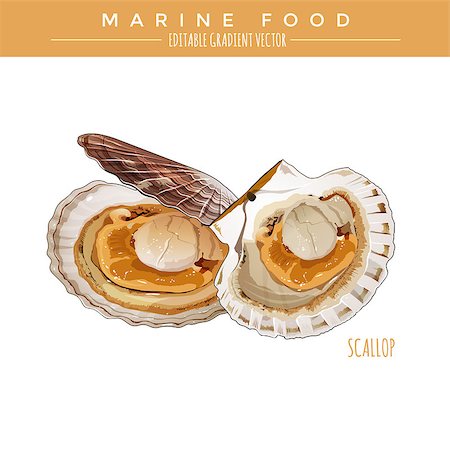 simsearch:400-08616184,k - Scallop illustration. Marine food, editable gradient vector Foto de stock - Royalty-Free Super Valor e Assinatura, Número: 400-08754693