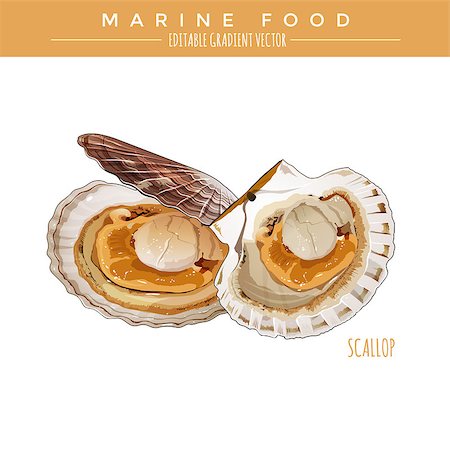 simsearch:400-08754703,k - Scallop illustration. Marine food, editable gradient vector Stockbilder - Microstock & Abonnement, Bildnummer: 400-08754693