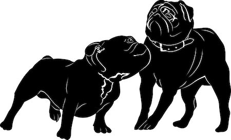 simsearch:400-09158556,k - Bulldog breed dog. pug. Bulldog Foto de stock - Royalty-Free Super Valor e Assinatura, Número: 400-08755888