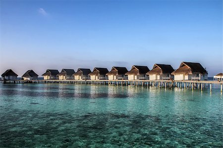 Picturesque bungalows on stilts near the shore of a tropical island, Maldives Stockbilder - Microstock & Abonnement, Bildnummer: 400-08755972