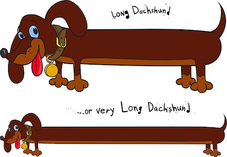 sharpner (artist) - Long cheerful brown dachshund in two positions on white background. Stockbilder - Microstock & Abonnement, Bildnummer: 400-08756160