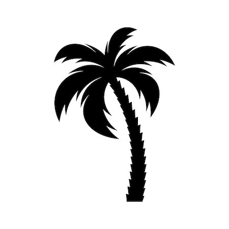 single coconut tree picture - Black vector single palm tree silhouette icon isolated Stock Photo - Budget Royalty-Free & Subscription, Code: 400-08756364