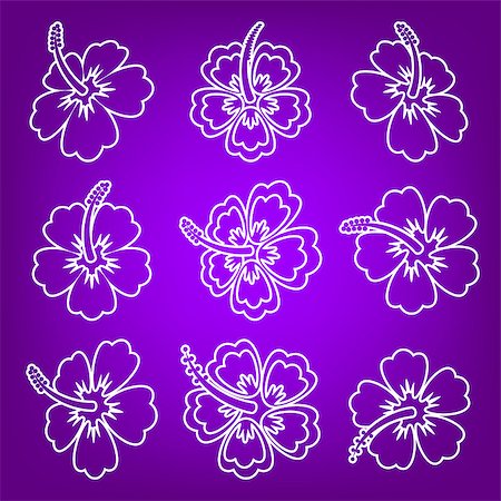 White vector hibiscus flower outline icons on violet Photographie de stock - Aubaine LD & Abonnement, Code: 400-08756380