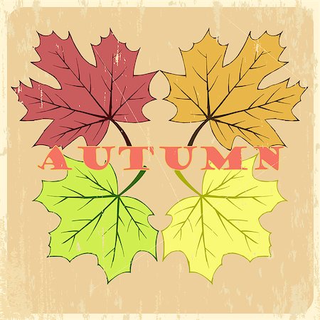 drawn images of maple leaves - Vector autumn leaves typography. Hand drawn maple leaves background. Stock Photo - Budget Royalty-Free & Subscription, Code: 400-08750141