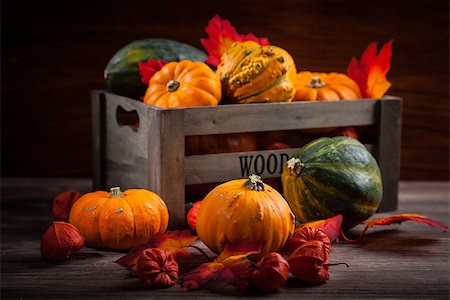 simsearch:400-05674539,k - Pumpkins for Thanksgiving and  Halloween Stock Photo - Budget Royalty-Free & Subscription, Code: 400-08751047