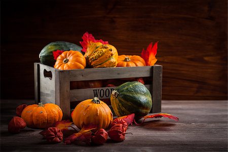 simsearch:400-05674539,k - Pumpkins for Thanksgiving and  Halloween Stock Photo - Budget Royalty-Free & Subscription, Code: 400-08751048