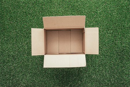 simsearch:400-05738922,k - Open cardboard box on lush grass, delivery and environment concept Stockbilder - Microstock & Abonnement, Bildnummer: 400-08751410