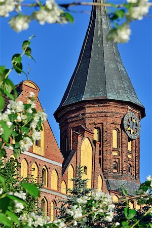 Tower of the Cathedral of Koenigsberg. Gothic 14th century. Symbol of the city of Kaliningrad, Koenigsberg before 1946, Russia Stock Photo - Budget Royalty-Free & Subscription, Code: 400-08751624