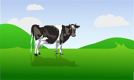 female black cow - cow on a green field. vector illustration EPS10 Stock Photo - Budget Royalty-Free & Subscription, Code: 400-08752132