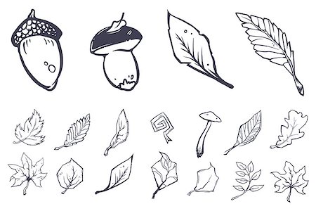 fall aspen leaves - Vector leaves objects set on white background. Sketch style Stock Photo - Budget Royalty-Free & Subscription, Code: 400-08753546