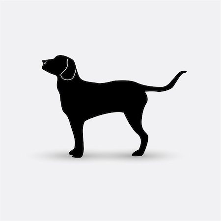 retriever silhouette - Vector silhouette of a dog on a white background. Stock Photo - Budget Royalty-Free & Subscription, Code: 400-08775213