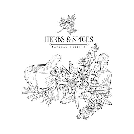 Herbs And Spices Hand Drawn Realistic Sketch. Artistic Pencil Detailed Contour Illustration On White Background. Stock Photo - Budget Royalty-Free & Subscription, Code: 400-08775934