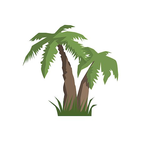 Two Palm Trees Jungle Landscape Element. Simple Tropical Forest Object Illustration Isolated On White Background. Foto de stock - Super Valor sin royalties y Suscripción, Código: 400-08775965