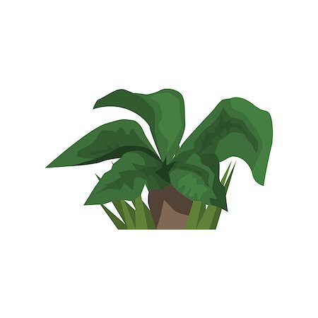 Big Leaf Tropical Plant Jungle Landscape Element. Simple Tropical Forest Object Illustration Isolated On White Background. Stock Photo - Budget Royalty-Free & Subscription, Code: 400-08775967