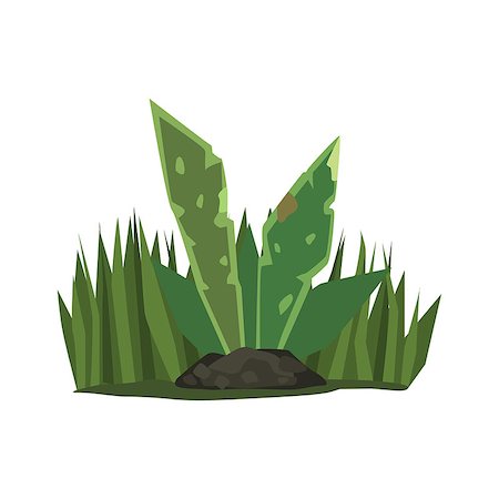 Tropical Plant With Big Leaves Jungle Landscape Element. Simple Tropical Forest Object Illustration Isolated On White Background. Foto de stock - Super Valor sin royalties y Suscripción, Código: 400-08775963