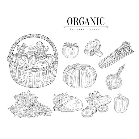 simsearch:400-08776897,k - Organic Farm Vegetables Isolated Hand Drawn Realistic Sketches. Hand Drawn Detailed Contour Illustration On White Background. Stockbilder - Microstock & Abonnement, Bildnummer: 400-08775976