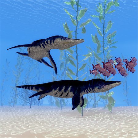 prehistoric sea monster pictures - Two Liopleurodon marine reptiles chase after a school of Red Snapper fish in Jurassic Seas. Stock Photo - Budget Royalty-Free & Subscription, Code: 400-08776097