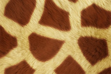 simsearch:400-04766217,k - A series of Fur Animal Textures. Foto de stock - Super Valor sin royalties y Suscripción, Código: 400-08776160