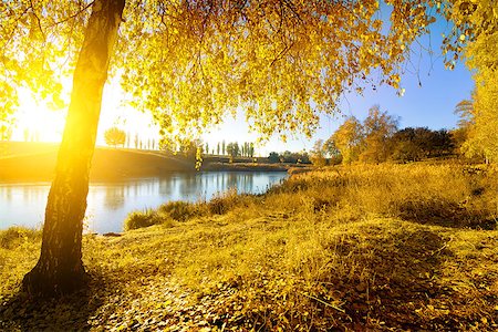 simsearch:400-08336120,k - Colorful autumn on river at bright sunny morning Foto de stock - Royalty-Free Super Valor e Assinatura, Número: 400-08776295