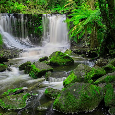 simsearch:600-02885951,k - The beautiful Horseshoe Falls after heavy rain fall in Mount Field National Park, Tasmania, Australia Fotografie stock - Microstock e Abbonamento, Codice: 400-08776576