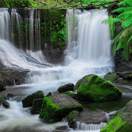 simsearch:600-02885951,k - The beautiful Horseshoe Falls after heavy rain fall in Mount Field National Park, Tasmania, Australia. Fotografie stock - Microstock e Abbonamento, Codice: 400-08776577