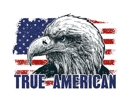 simsearch:400-05294488,k - American eagle against USA flag. Vector illustration Foto de stock - Super Valor sin royalties y Suscripción, Código: 400-08776797