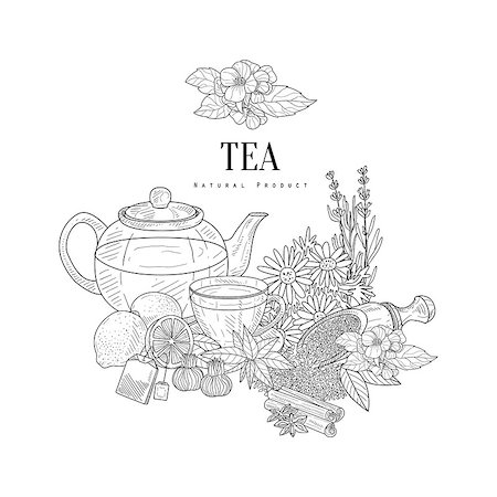 simsearch:400-08654097,k - Natural Herbal Tea Ingredients Hand Drawn Realistic Sketch. Artistic Pencil Detailed Contour Illustration On White Background. Foto de stock - Super Valor sin royalties y Suscripción, Código: 400-08776934