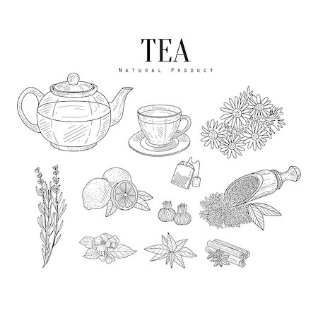 Natural Ingredients And Tea Isolated Hand Drawn Realistic Sketches. Artistic Pencil Detailed Contour Illustration On White Background. Stock Photo - Budget Royalty-Free & Subscription, Code: 400-08776935