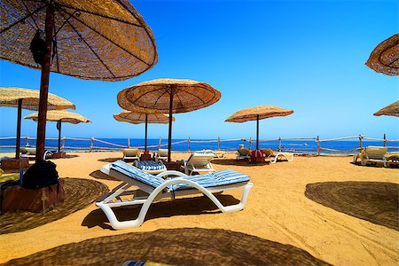exotic and egypt - Vacation on the beach of Red sea in Egypt Stock Photo - Budget Royalty-Free & Subscription, Code: 400-08777624